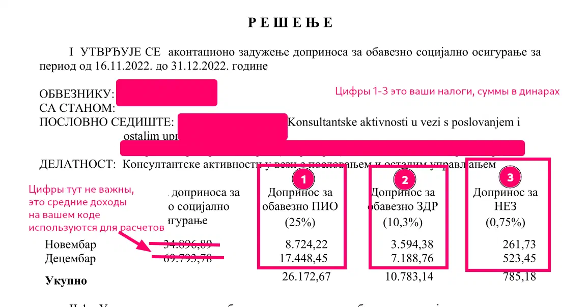 Пример налогового решения. Суммы в примере могут отличаться от ваших